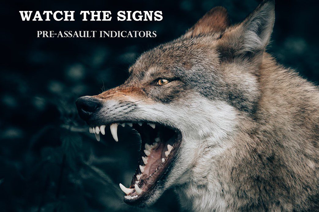 Pre Assault Indicators